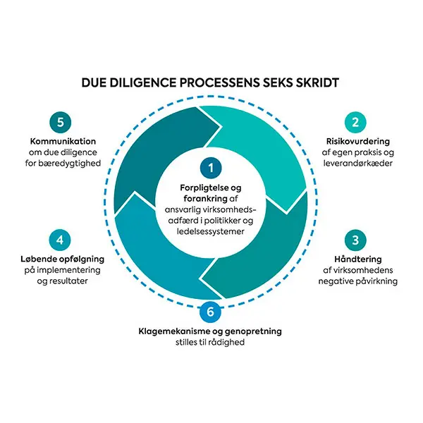 Due Diligence processens seks skridt